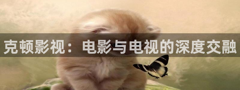 老湿在线视频
