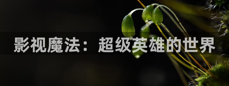 老湿影院91：影视魔法：超级英雄的世界