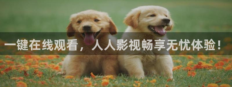 老湿影院在线福利