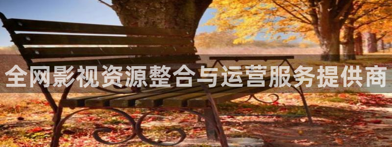 老湿机在线看片：全网影视资源整合与运营服务提供商